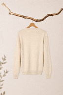 Pull PARIS  col rond 1